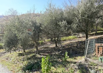 Giardino - Rustico via Badia
 
52, Civitella di Romagna - foto 19