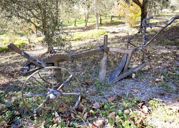 Giardino - Rustico via Badia
 
52, Civitella di Romagna - foto 20