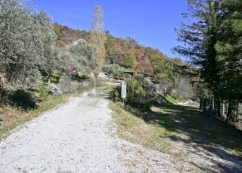 Vista delle montagne - Rustico via Badia
 
52, Civitella di Romagna - foto 21