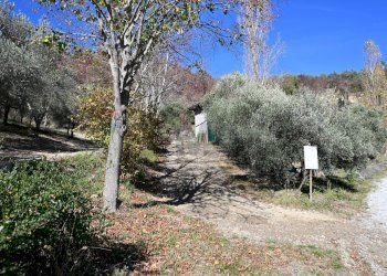 Giardino - Rustico via Badia
 
52, Civitella di Romagna - foto 22