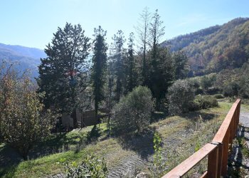 Vista delle montagne - Rustico via Badia
 
52, Civitella di Romagna - foto 29