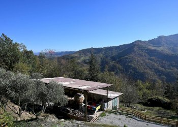 Vista delle montagne - Rustico via Badia
 
52, Civitella di Romagna - foto 33