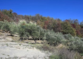 Vista delle montagne - Rustico via Badia
 
52, Civitella di Romagna - foto 34