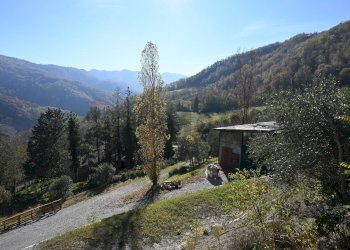 Vista delle montagne - Rustico via Badia
 
52, Civitella di Romagna - foto 36