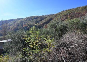 Vista delle montagne - Rustico via Badia
 
52, Civitella di Romagna - foto 37