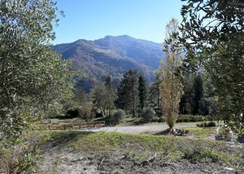 Vista delle montagne - Rustico via Badia
 
52, Civitella di Romagna - foto 38