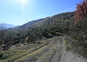 Vista delle montagne - Rustico via Badia
 
52, Civitella di Romagna - foto 39