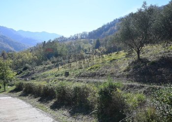 Vista delle montagne - Rustico via Badia
 
52, Civitella di Romagna - foto 43