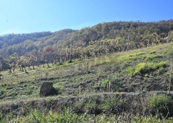 Vista delle montagne - Rustico via Badia
 
52, Civitella di Romagna - foto 44