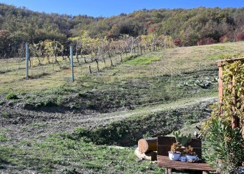 Vista delle montagne - Rustico via Badia
 
52, Civitella di Romagna - foto 45
