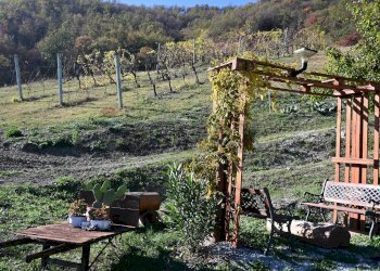 Giardino - Rustico via Badia
 
52, Civitella di Romagna - foto 46