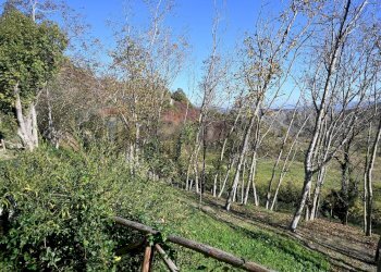 Giardino - Rustico via Badia
 
52, Civitella di Romagna - foto 47