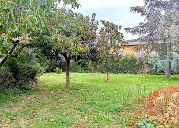 Giardino - Villa Via Saliceti
 
5, Nereto - foto 9