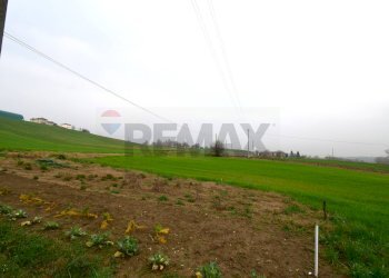 Giardino - Casa semi indipendente Via Varano
 
48, Noceto - foto 40