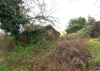 Giardino - Rustic Le lame
 
2, Medesano - photo 12