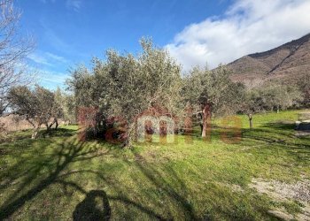 Foto 8 - Magazzino Avella - foto 8