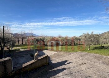 Foto 11 - Magazzino Avella - foto 11