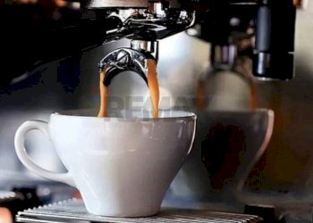 Dettagli - Bar Tavola Calda - Fredda Sant'Omobono Terme - foto 19