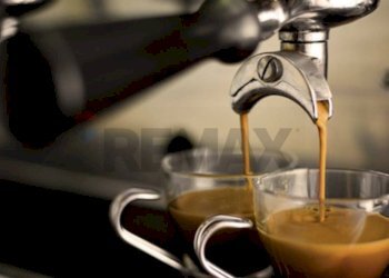 Dettagli - Bar Tavola Calda - Fredda Sant'Omobono Terme - foto 20