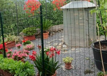 Foto 28 - Semi-detached house Piazza IV Novembre, Testico - photo 28