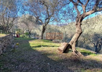 Foto 26 - Rustico Borgata Piazza, Ranzo - foto 26