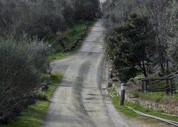 Foto 7 - Independent house via di Gicigliano
 
40, Pontassieve - photo 7