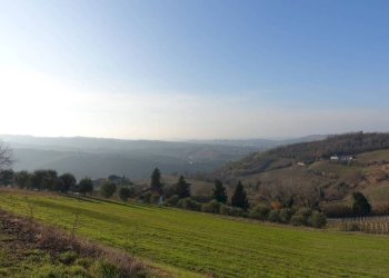 Terreno - Rustico via Bocchiarda, Calosso - foto 4