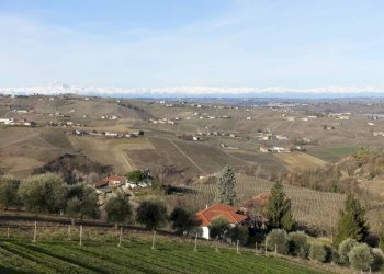 Vista - Rustico via Bocchiarda, Calosso - foto 6