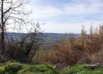 Vista - Rustico via Bocchiarda, Calosso - foto 9