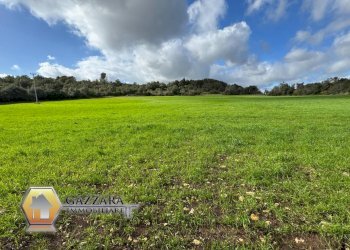 Foto 32 - Rustico Contrada Dammuso
 
snc, Noto - foto 32