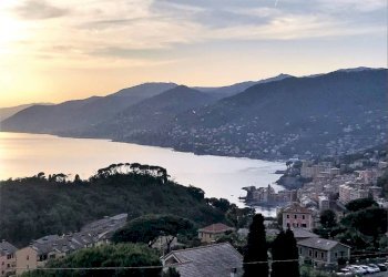 Vista - Villa via Pissorella, Camogli - foto 4