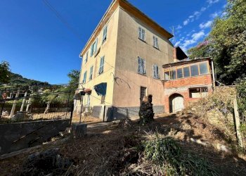 Terreno - Villa via Pissorella, Camogli - photo 9
