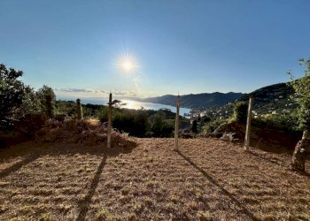Terreno - Villa via Pissorella, Camogli - foto 12