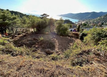Terreno - Villa via Pissorella, Camogli - foto 18
