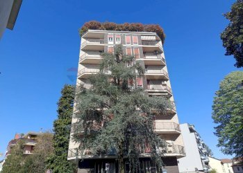 Edificio all\'aperto - Quadrilocale via Quintino Sella
 
7, Monza - foto 14