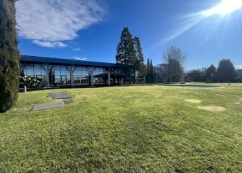 Terreno - Capannone via Nuova Vallassina, 4a, Merone - foto 6