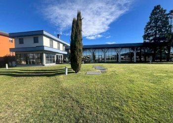 Giardino - Capannone via Nuova Vallassina, 4a, Merone - foto 7