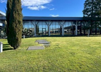 Giardino - Capannone via Nuova Vallassina, 4a, Merone - foto 8