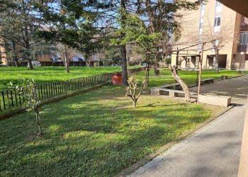 giardino - Quadrilocale via Francesco Lusso, 4, Asti - foto 7