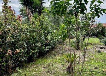 Terreno - Appartamento via Brigadiere Nastasi, 3, Sciacca - foto 11