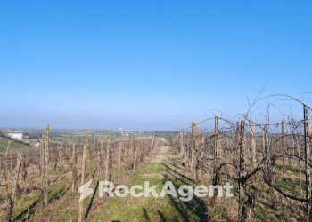 Rustico FRAZIONE CAMPORELLO 5, San Damiano al Colle - foto 4