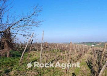 Rustico FRAZIONE CAMPORELLO 5, San Damiano al Colle - foto 5