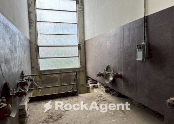 Capannone via Pedine, Tollo - foto 35