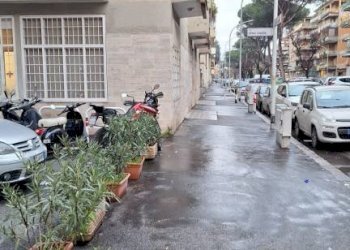 Negozio via Antonello da Messina, Roma - foto 6