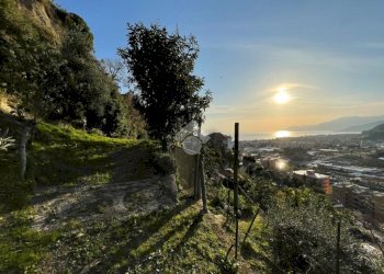 Terreno edificabile Via Bellavista, Vallecrosia - foto 3