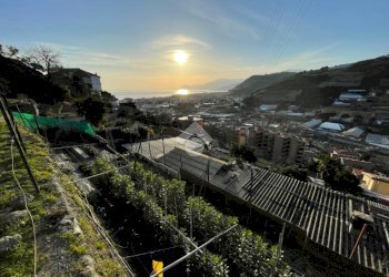 Terreno edificabile Via Bellavista, Vallecrosia - foto 5