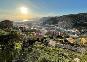 Terreno edificabile Via Bellavista, Vallecrosia - foto 6