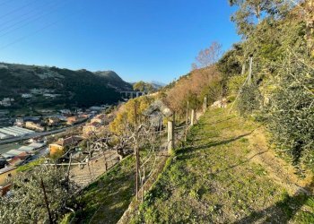 Terreno edificabile Via Bellavista, Vallecrosia - foto 10