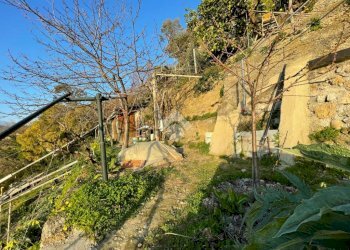 Terreno edificabile Via Bellavista, Vallecrosia - foto 11