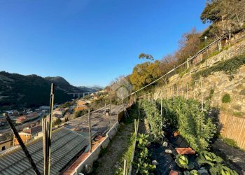 Terreno edificabile Via Bellavista, Vallecrosia - foto 12